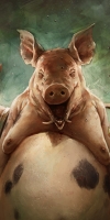 3 Little Pigs